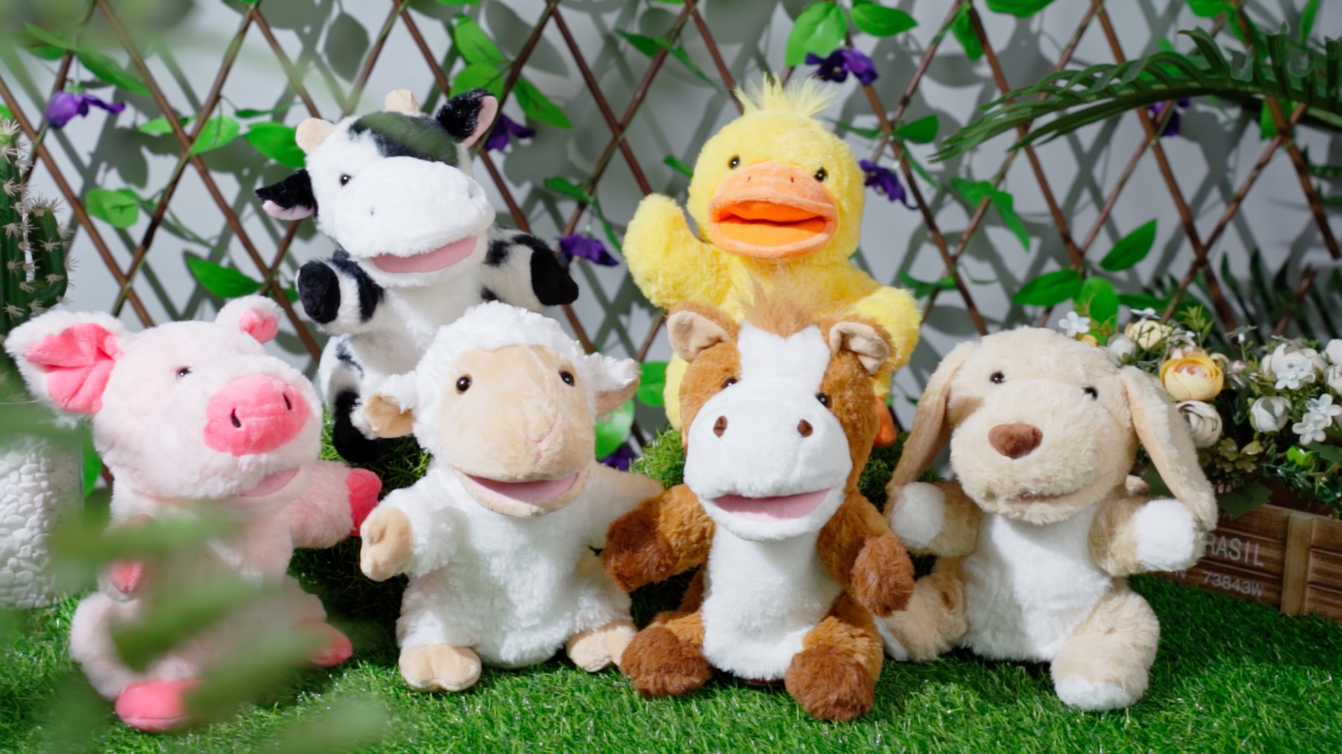 A1YCNmA9ynL.jpg