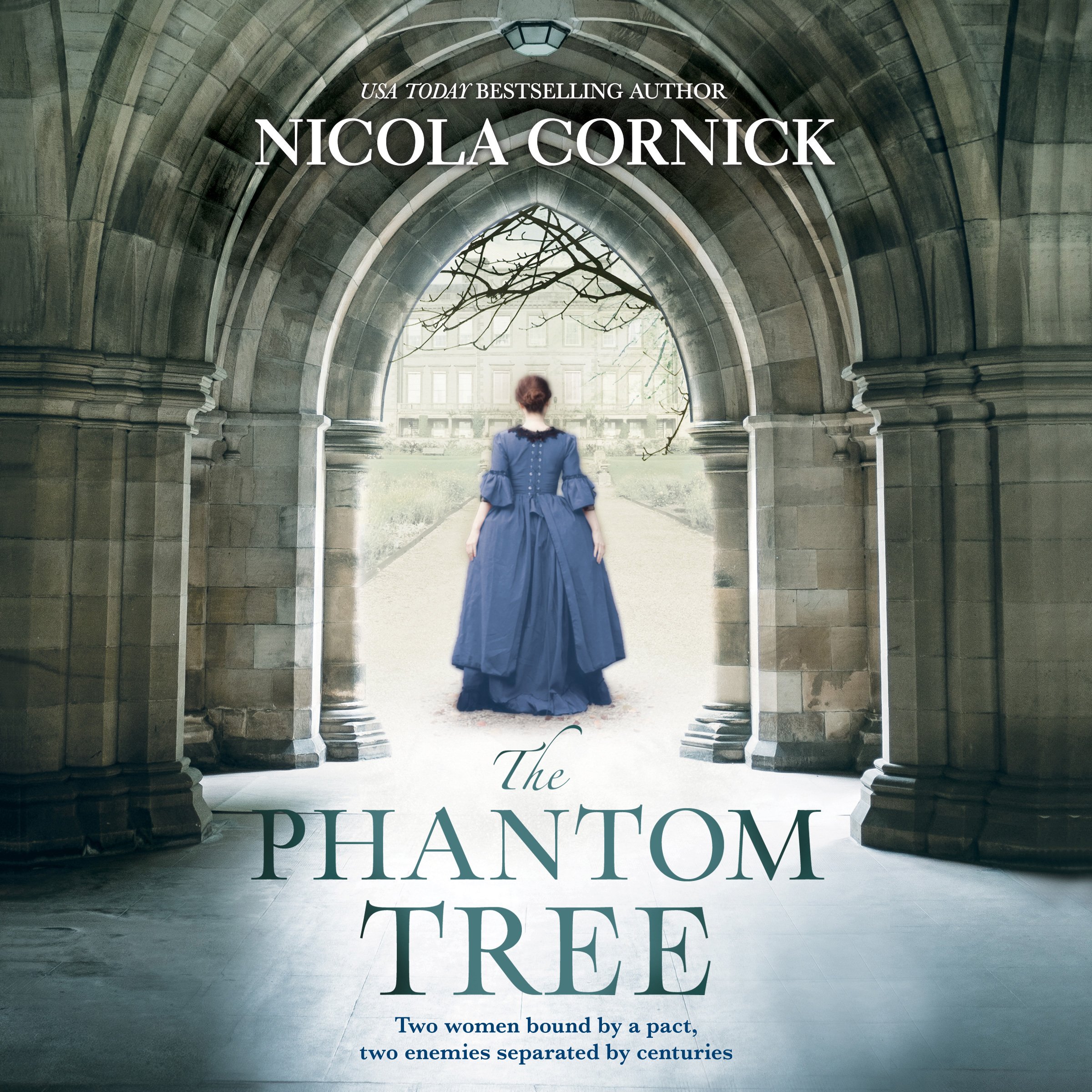 Cover art for The Phantom Tree