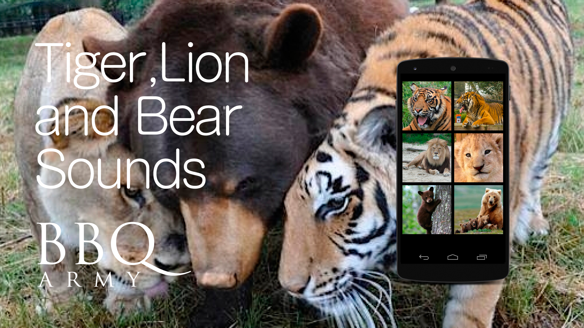 猛獣の鳴き声 トラ ライオン クマ Amazon Co Jp Appstore For Android