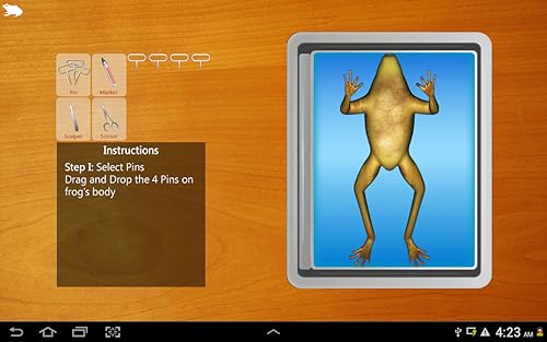 Frog Dissection For Tablet