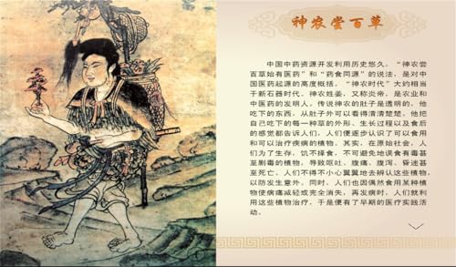 Health Treasure: the Wisdom of Traditional Chinese Medicine
