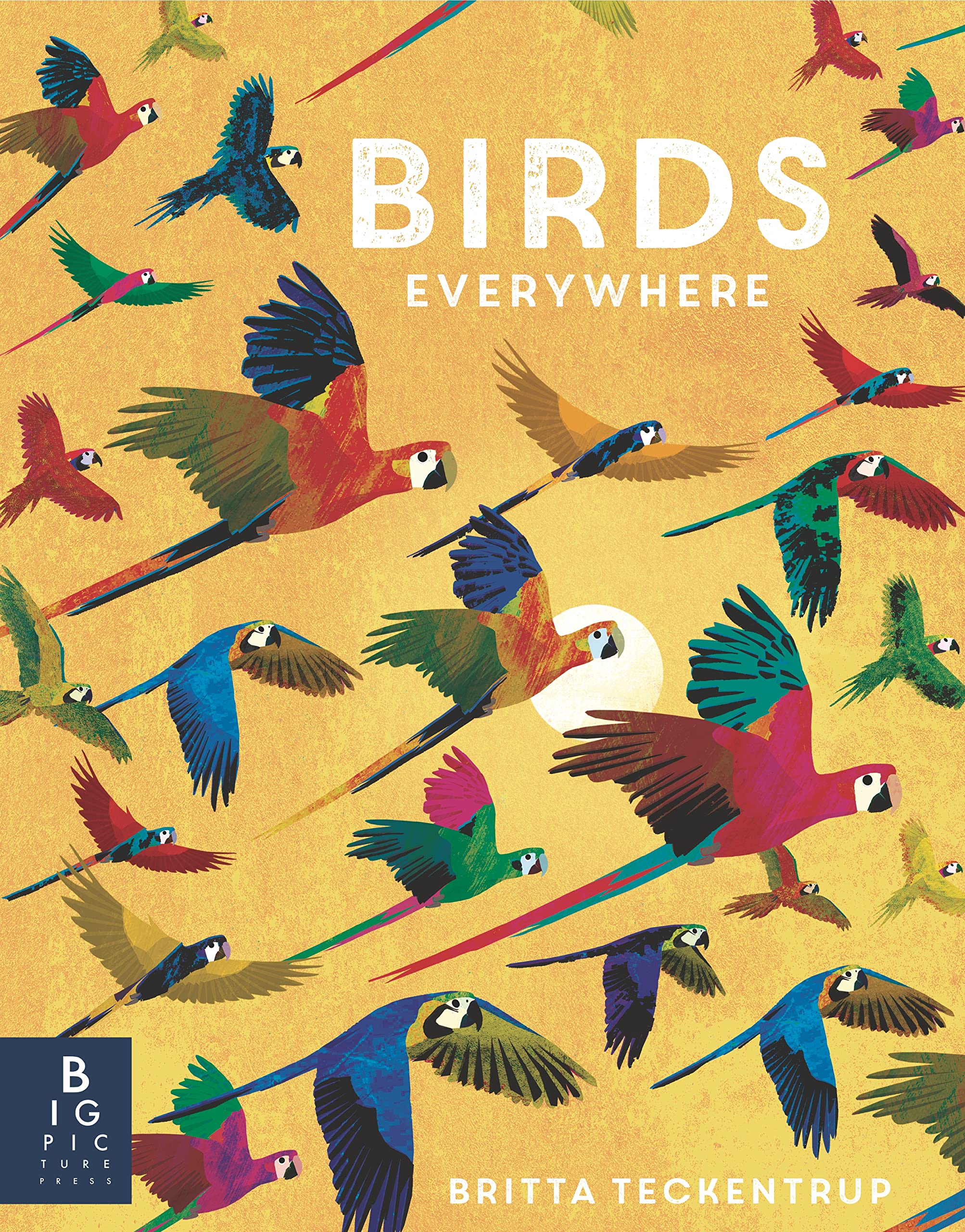 Birds Everywhere (Animals Everywhere)