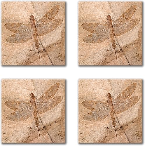 Miniatura 3 de Fossil Dragonfly Images - 4-Piece Square Ceramic Tile Coaster Set - Caddy Included