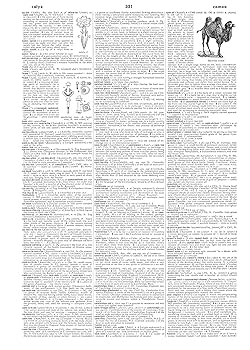 「ウエッブスターの第３新国際事典　要約なし」１９６６年発行３巻構成 ウエッブスターの第3新国際事典 要約なし」1966年発行3巻構成