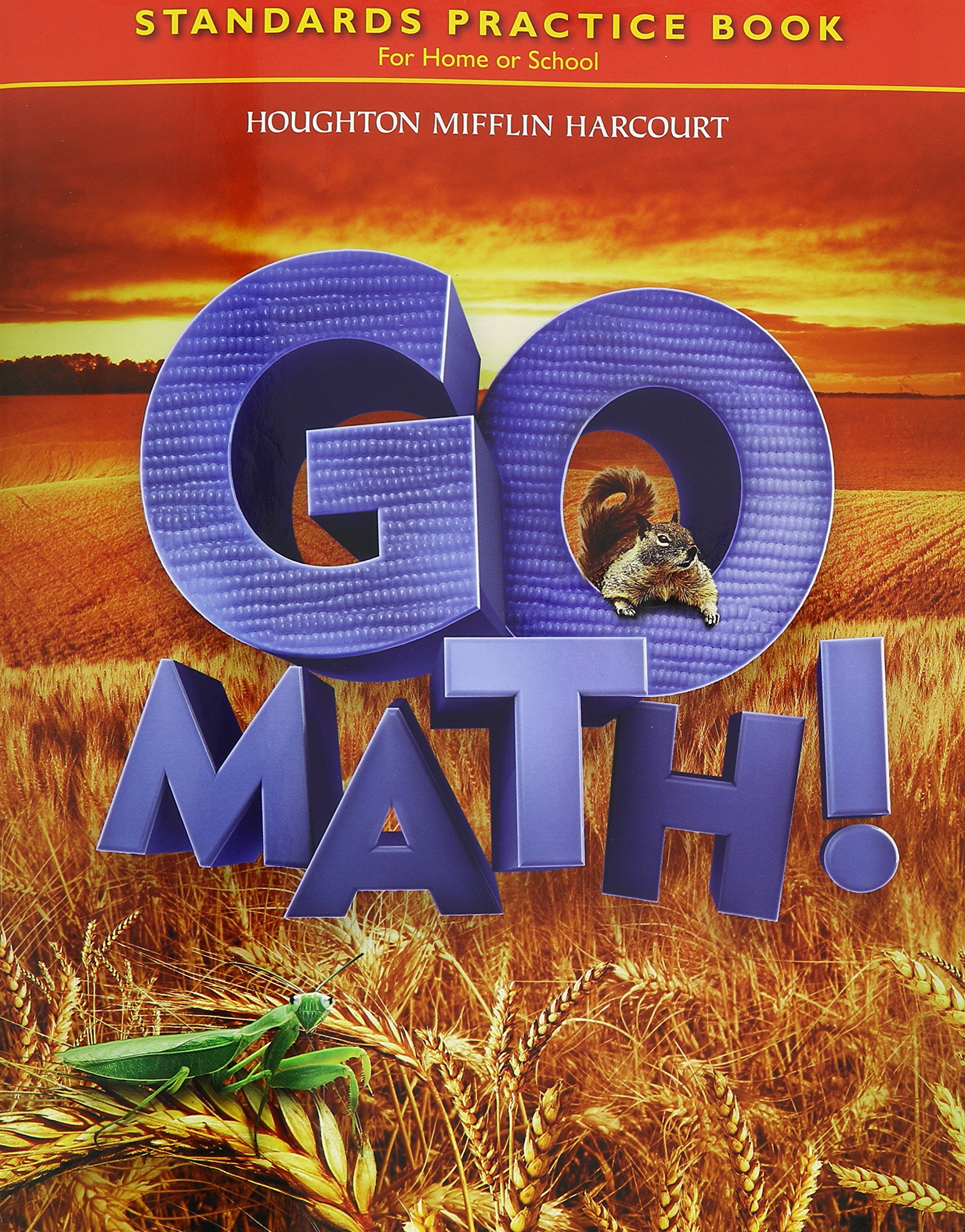 Math, Grade 2 Standards Practice Books: Hmh Math (Hmh Go Math 2011) Paperback – Import, 27 April 2010