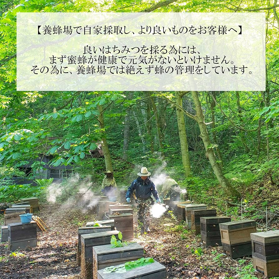 Amazon.co.jp: 1st Selection Apple Honey 17.6 oz (500 g