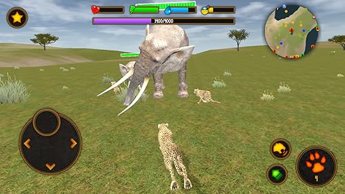 Clan of Cheetahs