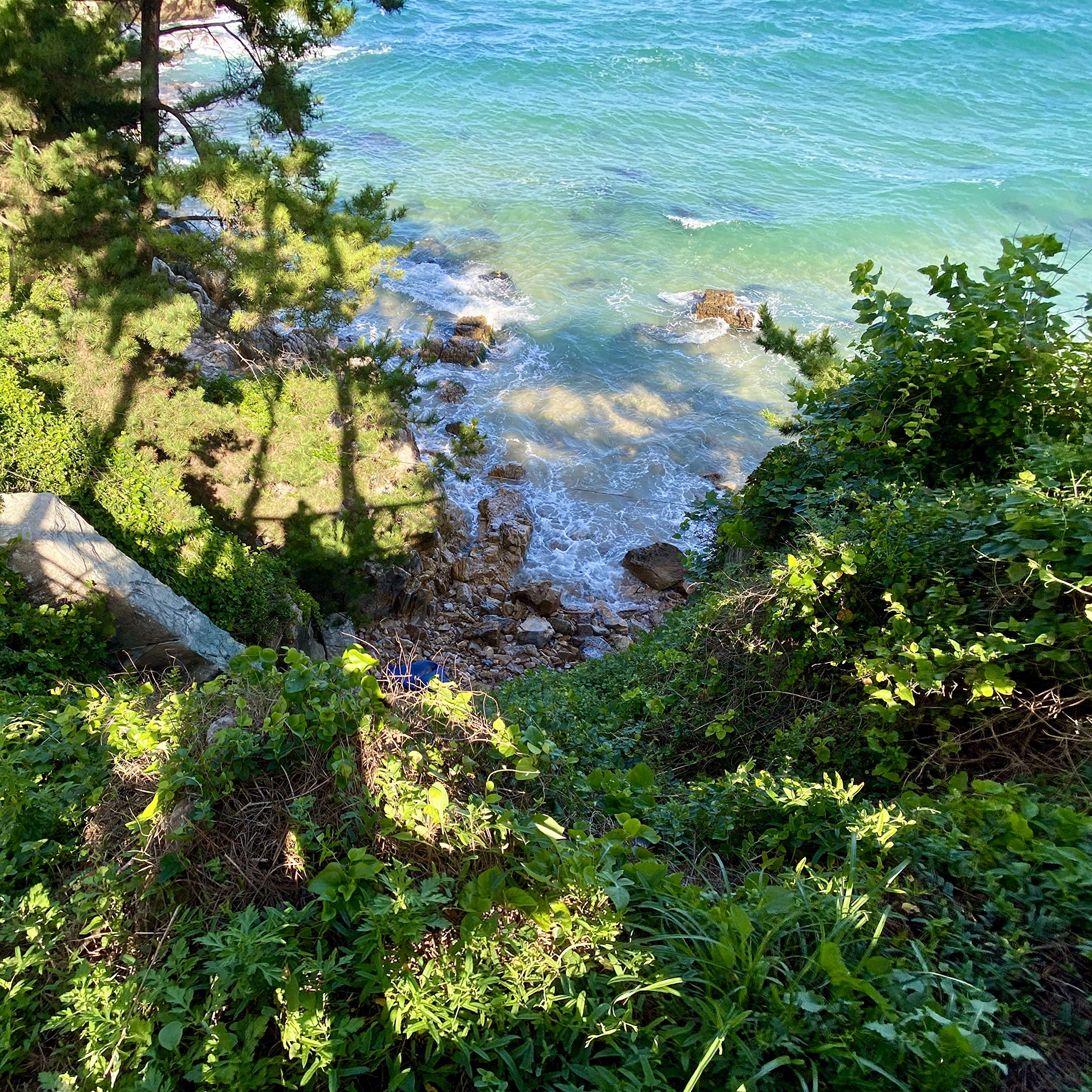 Should I Stay Or Should I Go