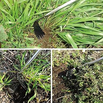 マーミット　ハイパーホビー限定　ジャイアントキンゴジ【薄茶成形に緑金色スプレー】 マーミット ハイパーホビー限定 ジャイアントキンゴジ【薄茶成形