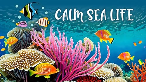 Calm Sea Life - Vídeos de Aquário e Relaxamento Subaquático