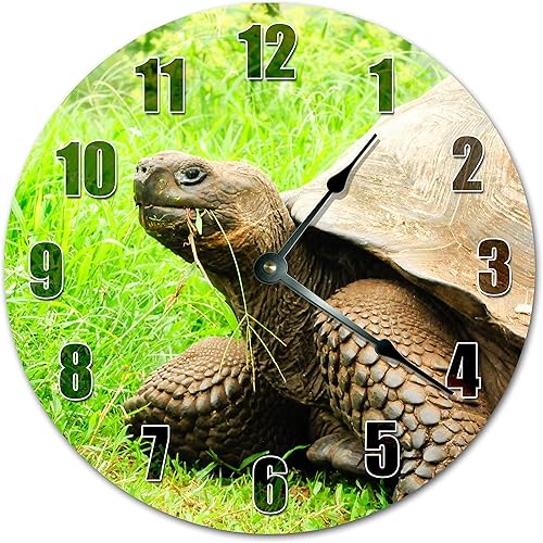 Reloj de tortuga de Galápagos antiguo de 10.5 pulgadas, reloj de pared grande de 10.5 pulgadas, reloj de decoración del hogar