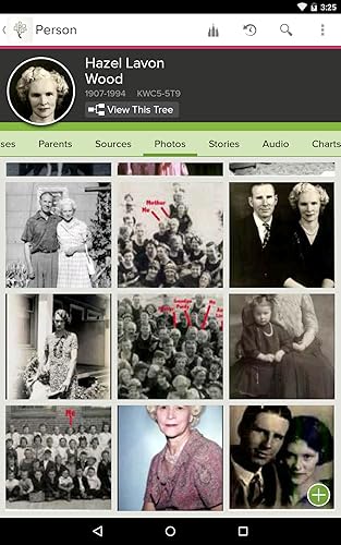 FamilySearch Tree