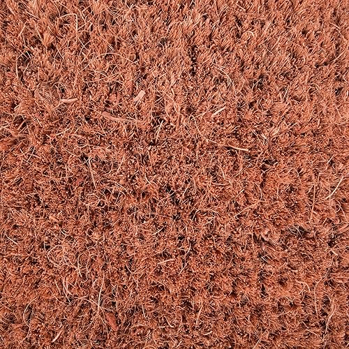 Miniatura 5 de DII Fun Greetings - Tapete de fibra de coco natural para interiores y exteriores