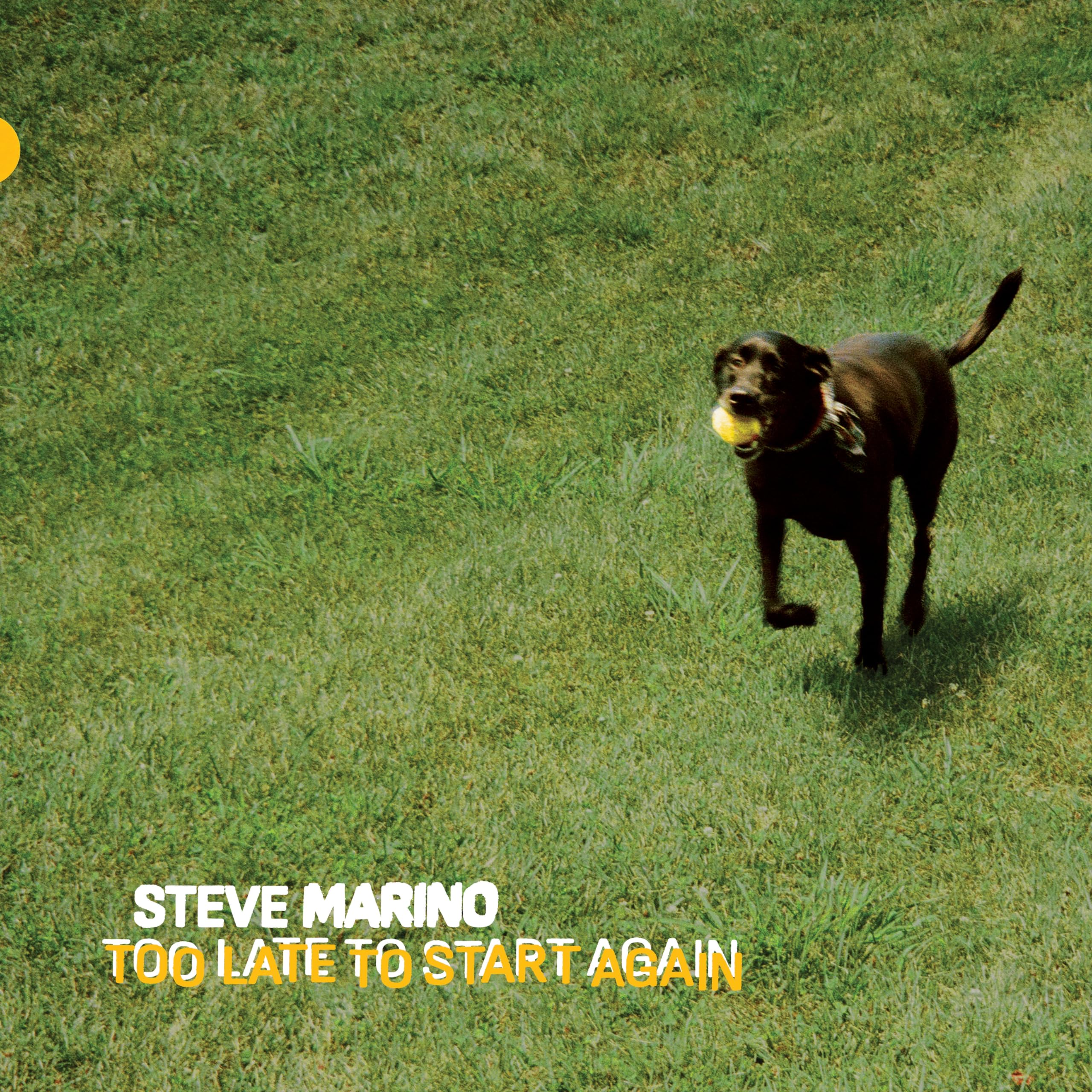 Steve Marino Too Late To Start Again LP New 843563168271