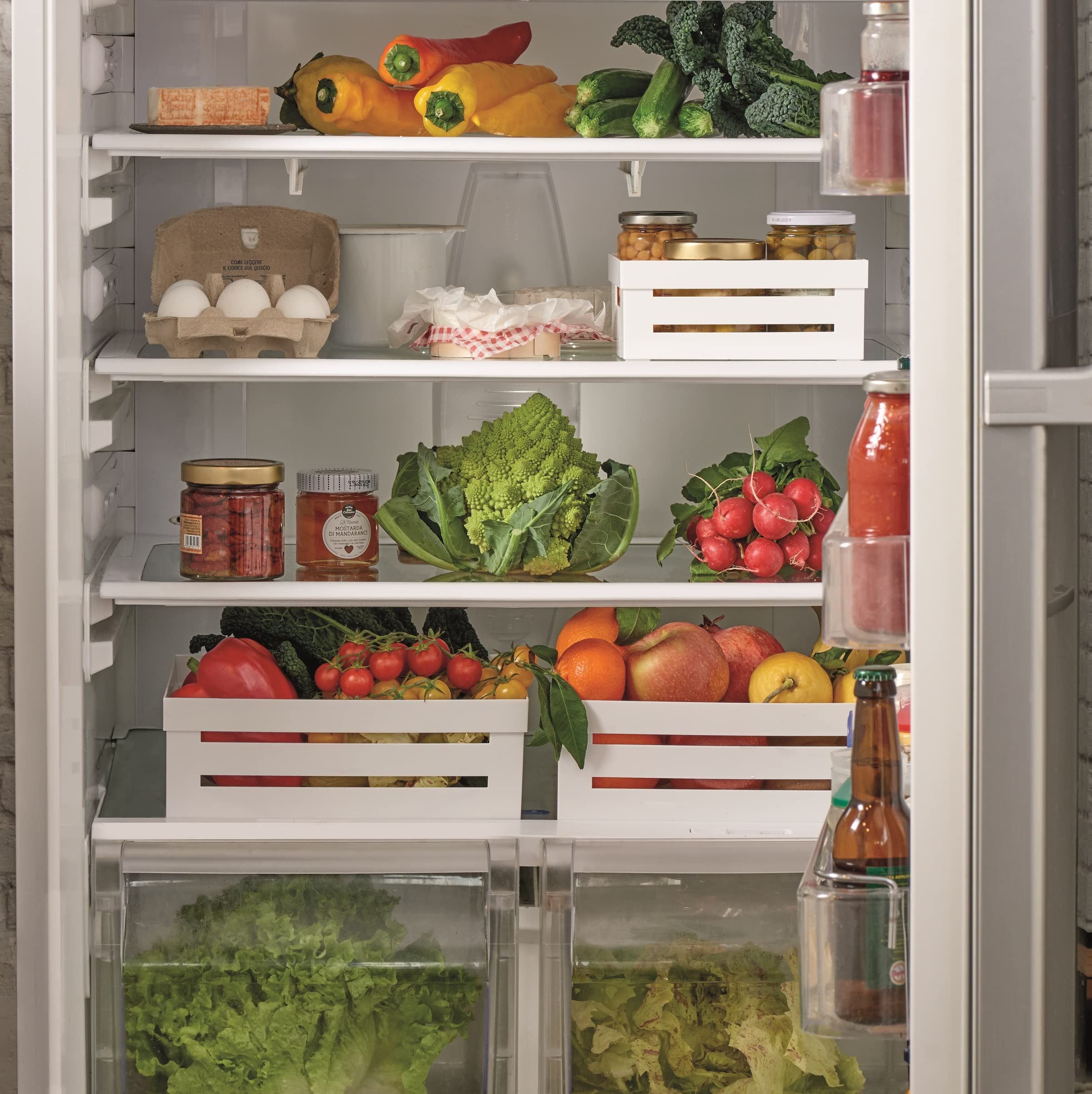 Snips Cassetta Cucina Organizer 5 LT Bianco Made in Italy BPA Free