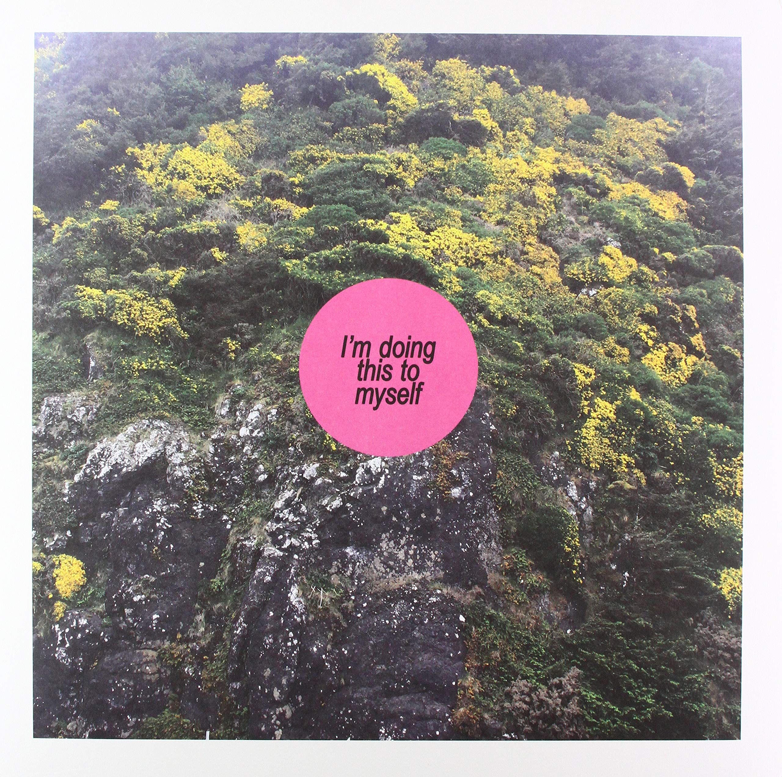 I'm Doing This To Myself [VINYL]