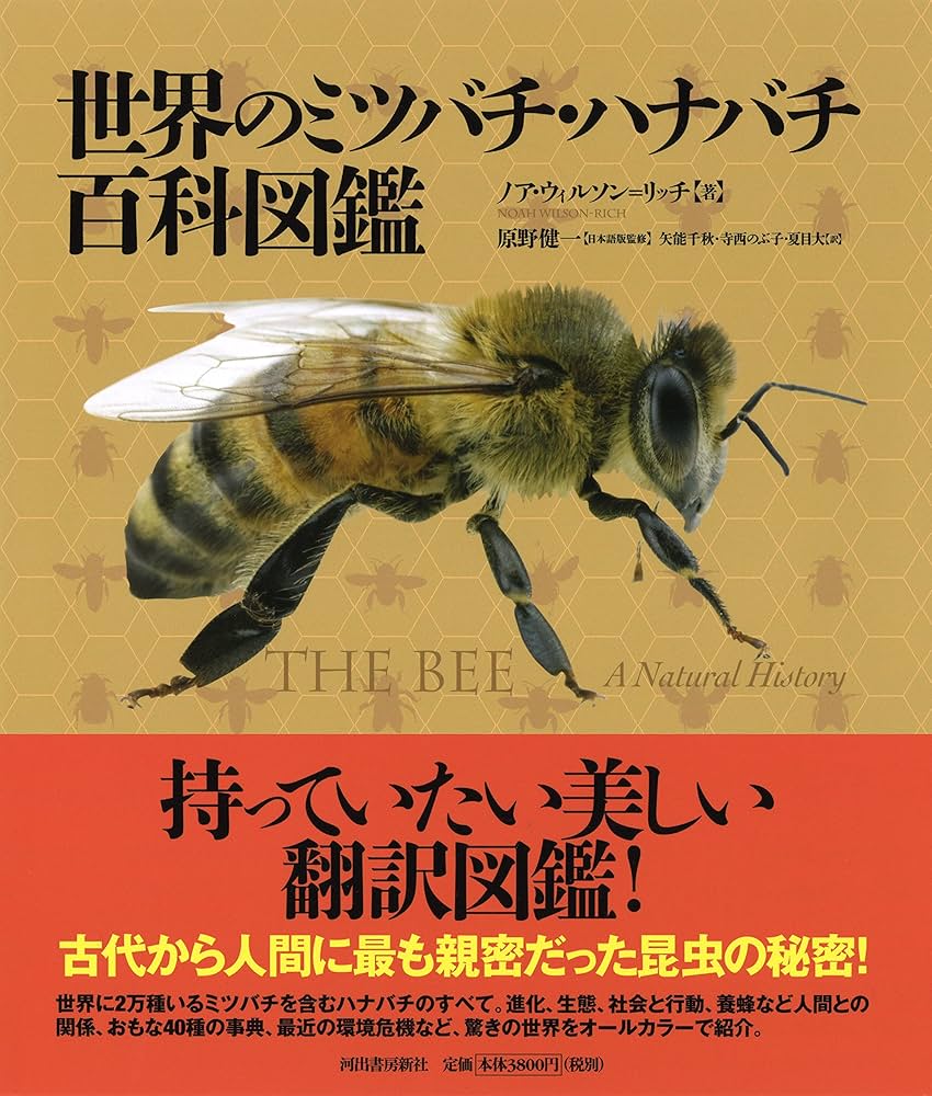【中古】 マルハナバチの経済学/文一総合出版/ベルント・ハインリヒ マルハナバチの経済学 付・日本産マルハナバチの分類・生態