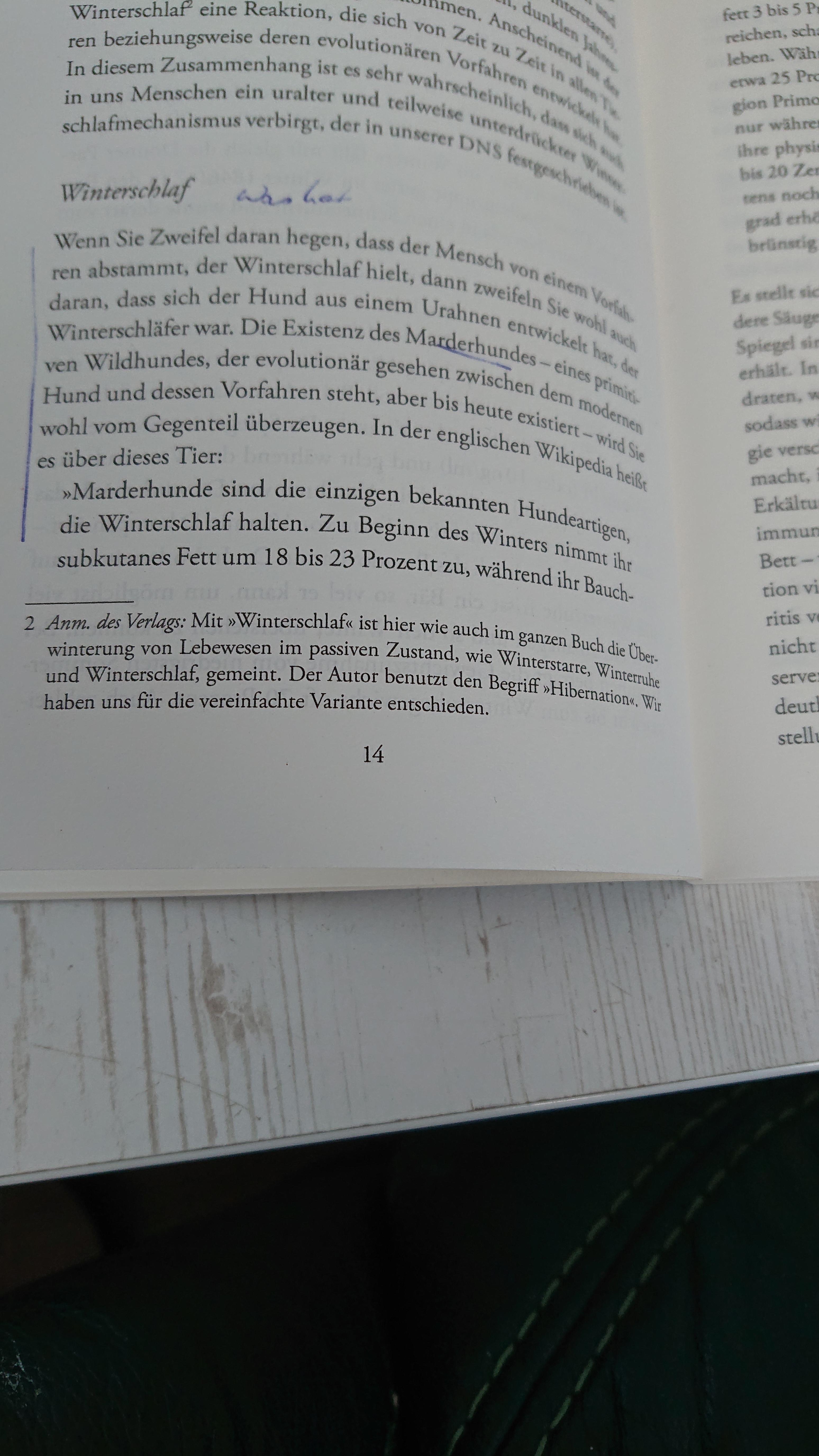 Bestenfalls Humorvoll wie der Bär, Ein Urhund und Mensch sich hier gleichen sollen