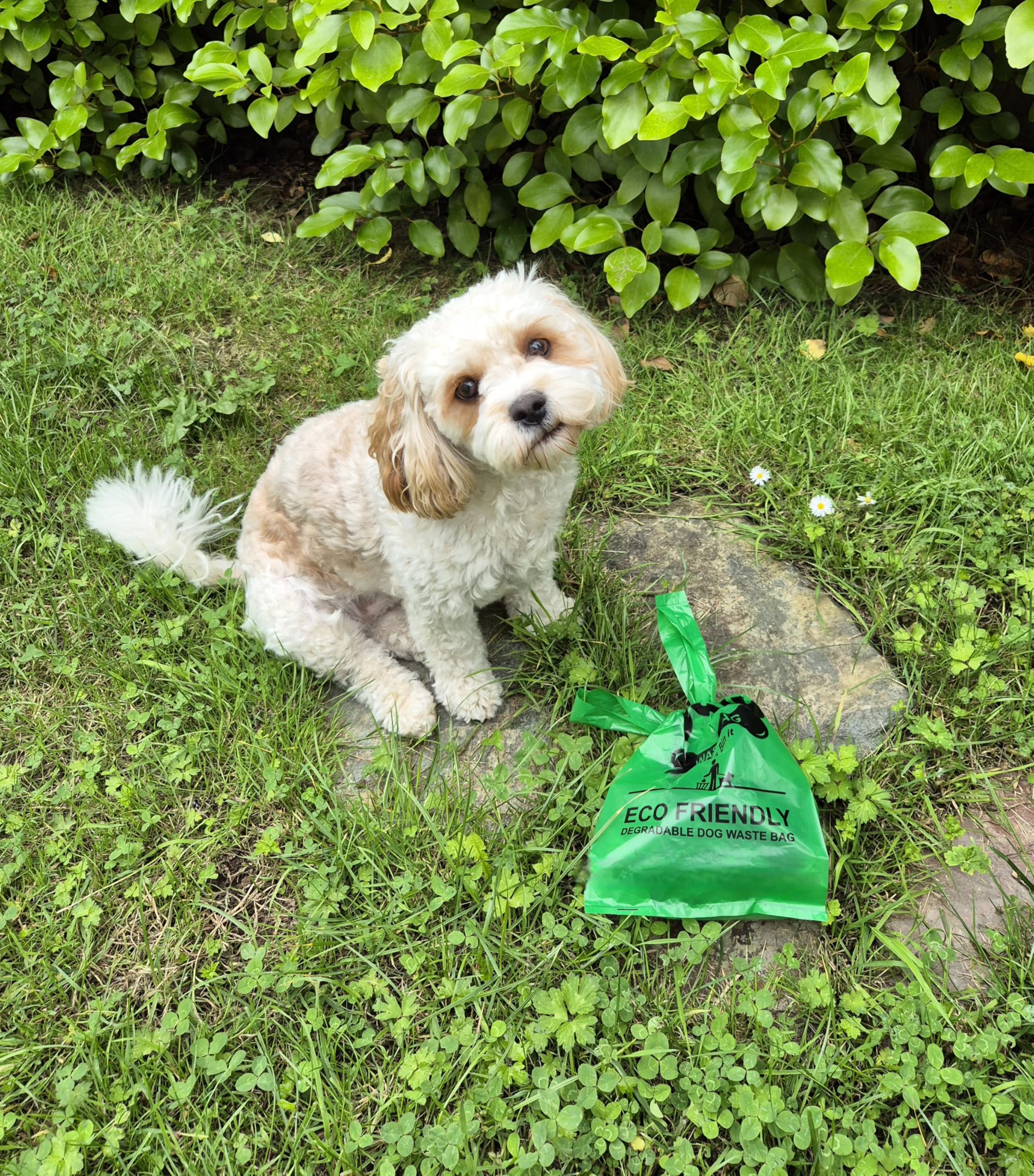 DOG POO BAGS, LARGE QUALITY STRONG Dog Waste Bags with TIE HANDLES. Easy Tie-Top. 100 BAGS Unscented - Image 3