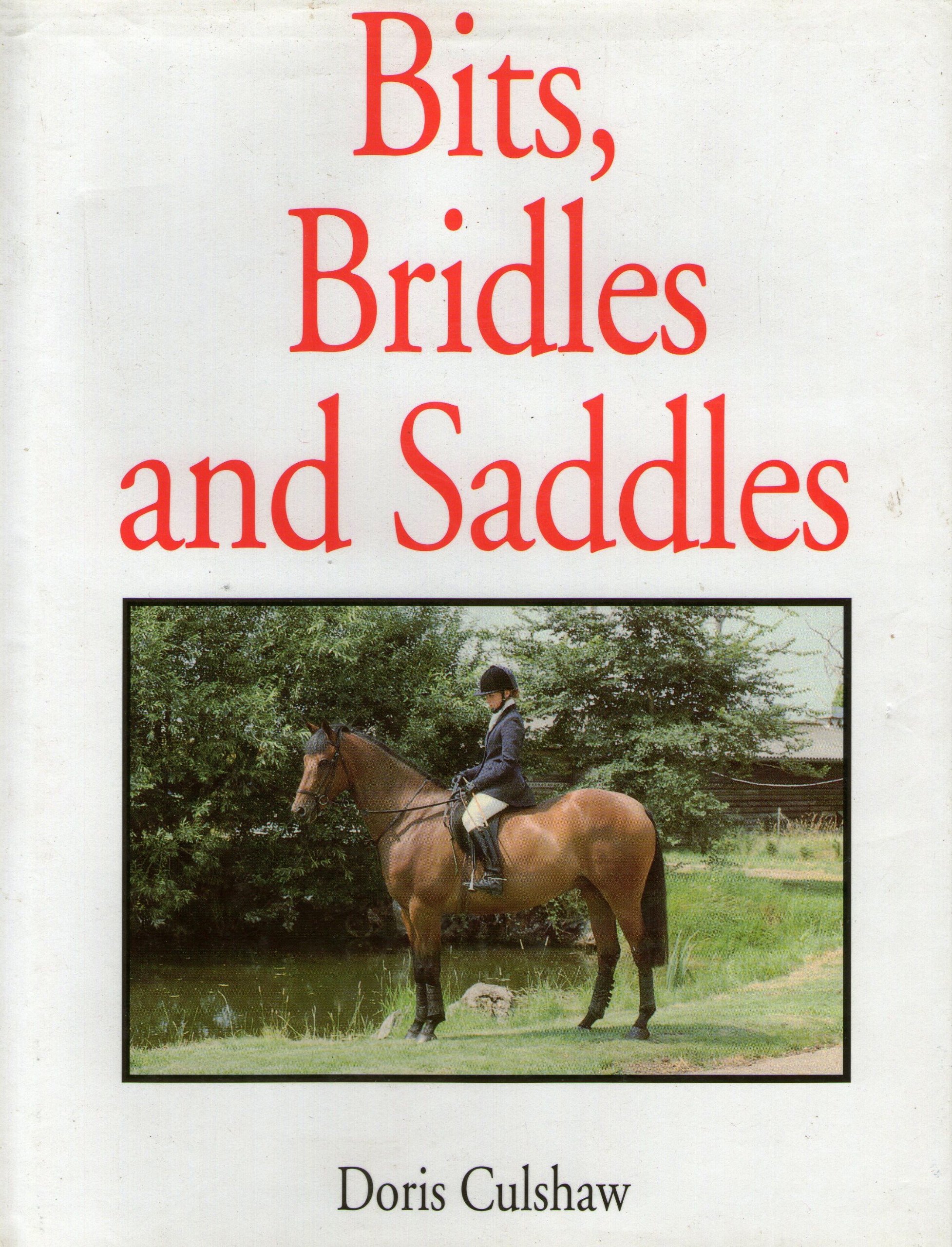 BITS, BRIDLES AND SADDLES