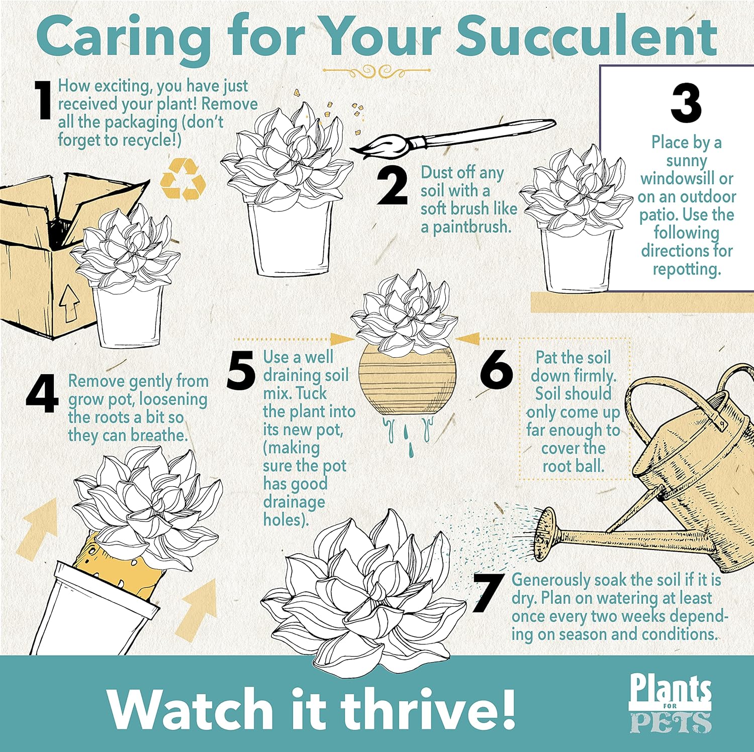 Trailing Elephant Bush Succulents, Hanging Plants Live Succulents Plants Live Houseplants, Hanging Planter Basket, Mini Succulents Live Plants Indoor Plants in Plant Basket by Plants for Pets - Image 2