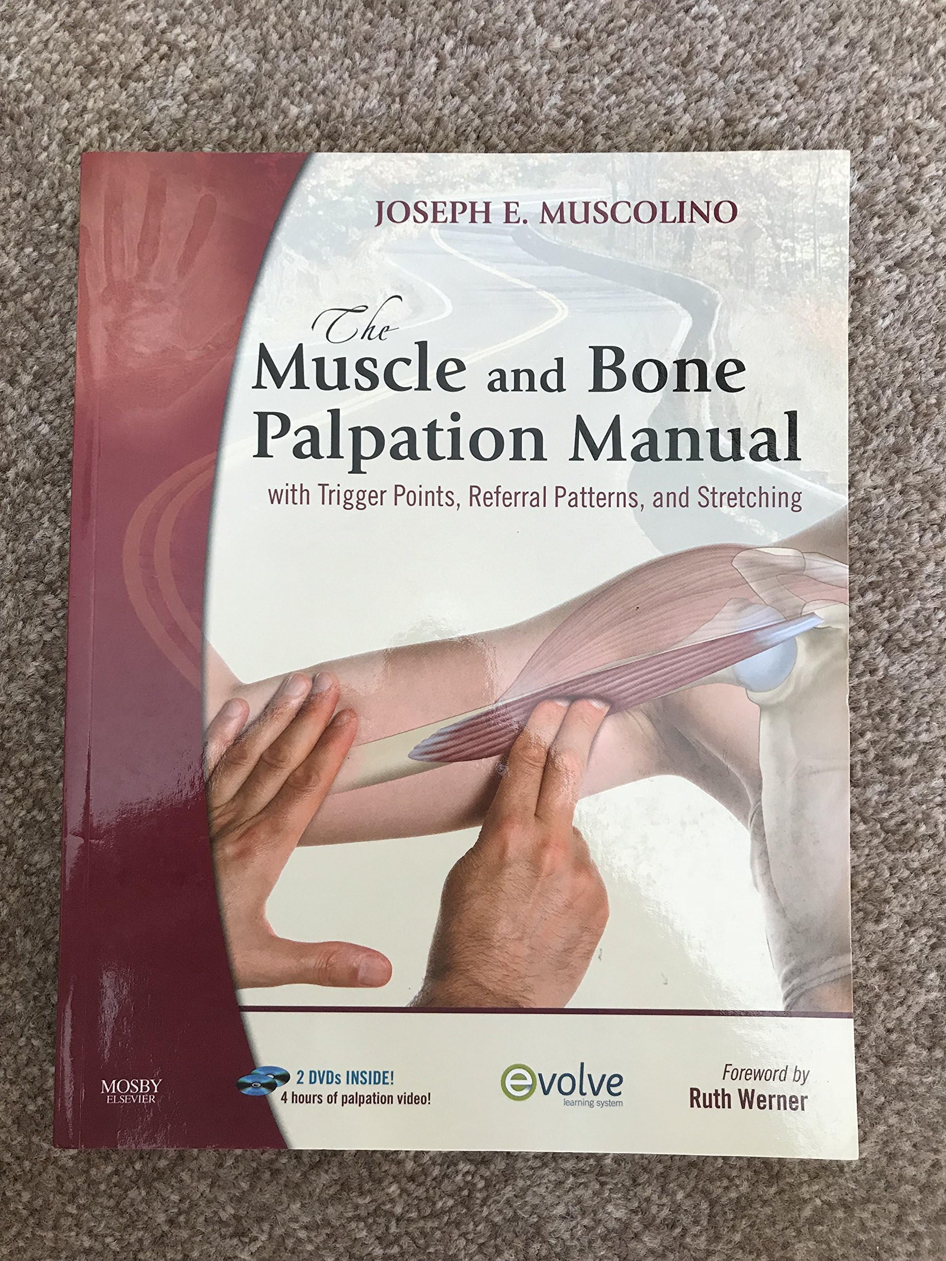 The Muscle and Bone Palpation Manual with Trigger Points, Referral Patterns and Stretching