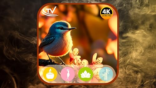 Manhãs tranquilas de primavera: protetor de tela calmante com canto de pássaros