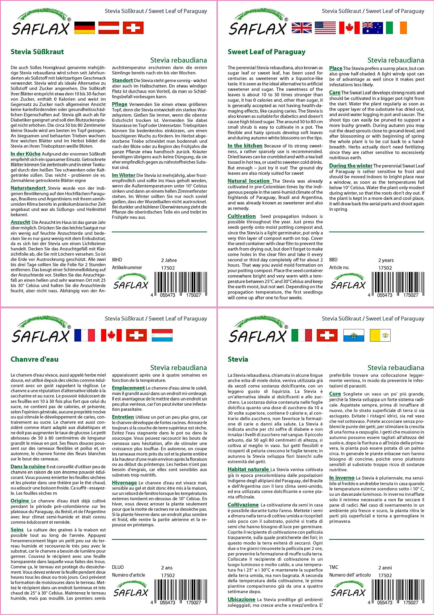 SAFLAX - Stevia - 100 semi - Con substrato - Stevia rebaudiana