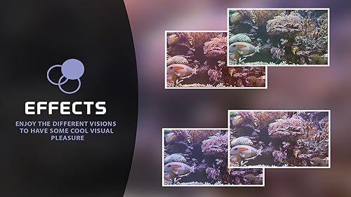 free deep fish tank HD - decore seu quarto com um lindo aquário ao vivo em sua TV HDR 4K, TV 8K e di