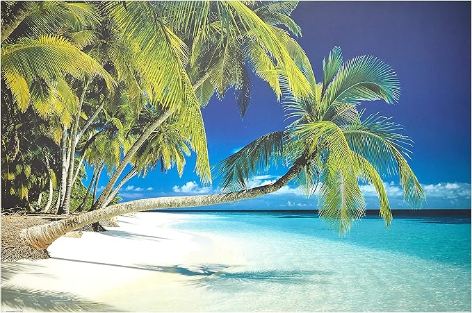 Amazon Co Jp ポスター モルディブ ビーチ Pp ホーム キッチン Amazon Co Jp ポスター モルディブ ビーチ Pp ホーム キッチン