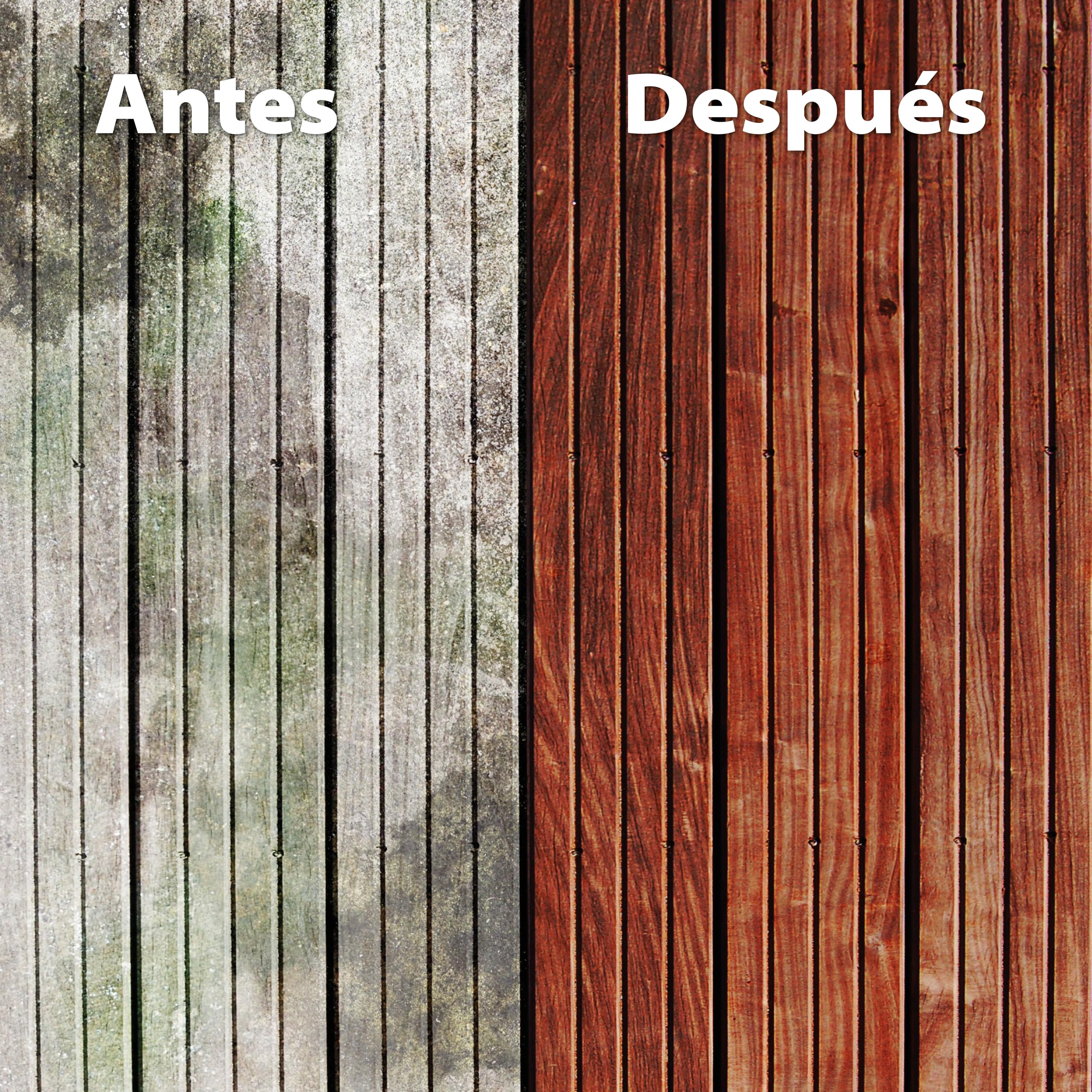 WAGNER Pistola de Pintura para Madera Exterior | 460 W, Capacidad 1400 ml, Cubre 5 m² en 9 minutos, Manguera de 1,8 m, Para persianas, vallas, terrazas, muebles de jardín