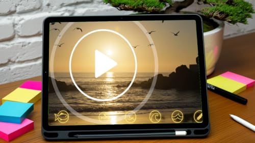 Seabirds at Sunset 4K – Coastal Relax Ambience Fire TV – vue 3