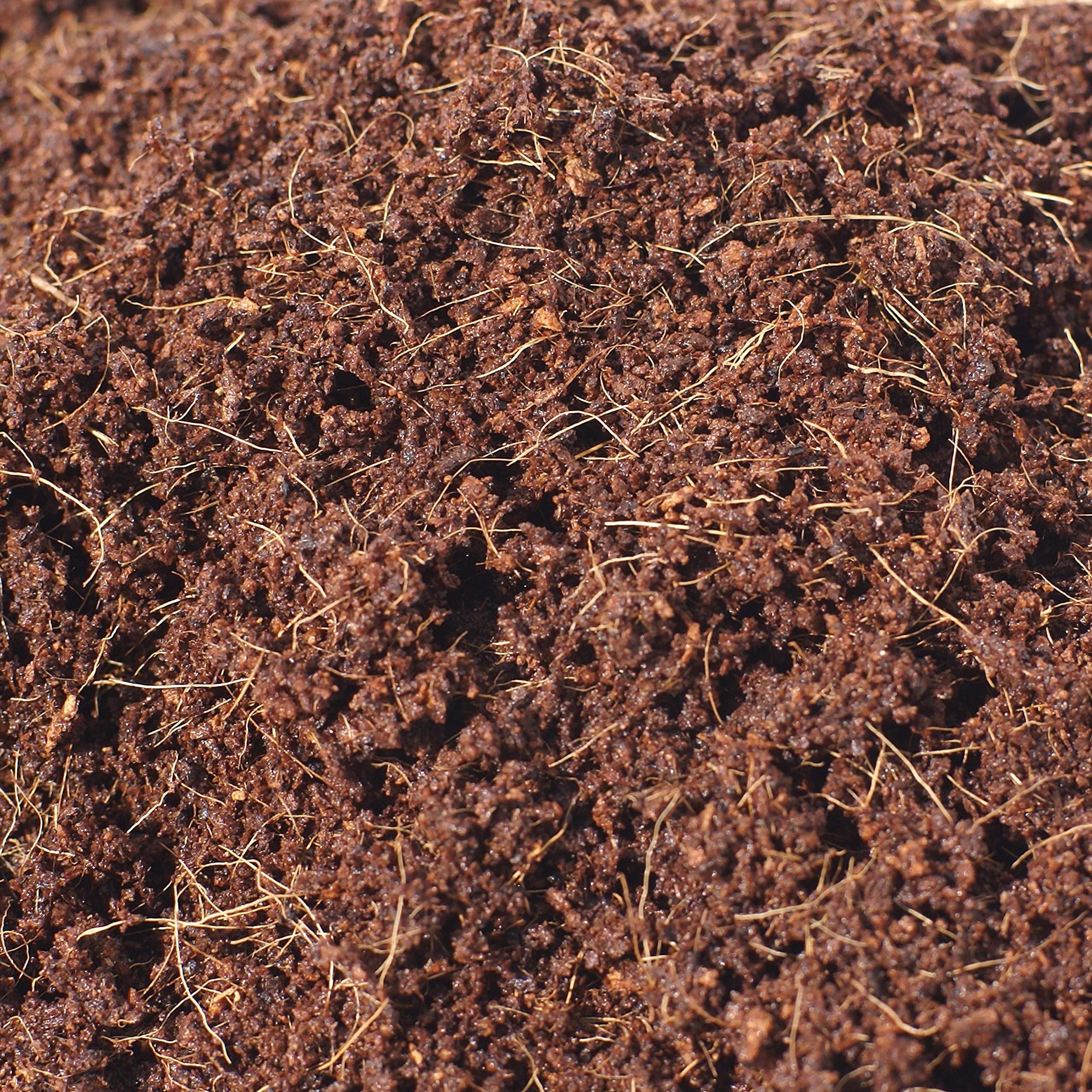 XL Basic - Sustrato de Coco, Bloque Comprimido con bajo Porcentaje de Fibra de Coco para Plantas y Huerto, 5 kg - 70 L (30x30x12 cm)