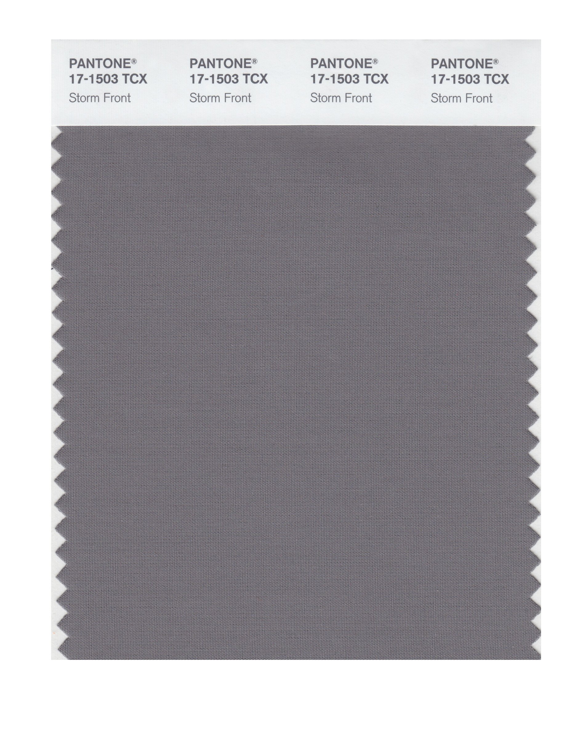 Pantone 17-1503 TCX Smart Color Swatch Card, Storm Front - House