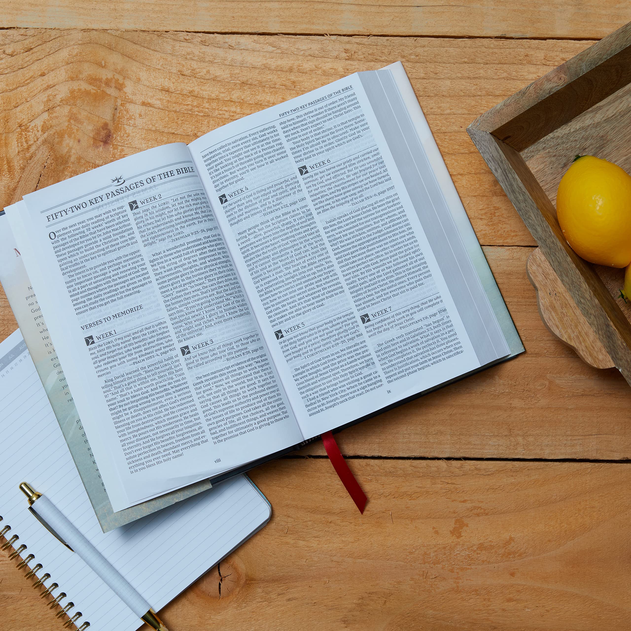 The NKJV, MacArthur Daily Bible, 2nd Edition, Hardcover, Comfort Print: A Journey Through God's Word in One Year - Image 9