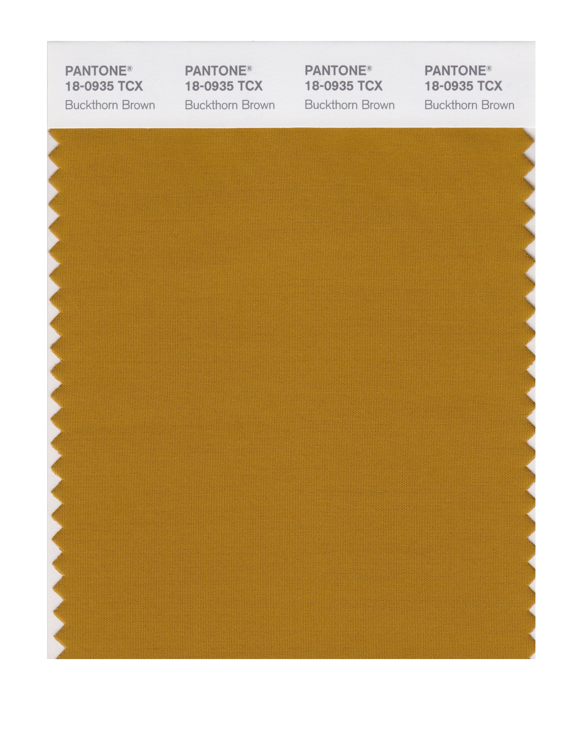 PANTONE Smart 18-0935X Color Swatch Card, Buckthorn Brown - House