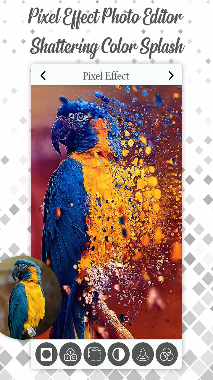 Pixlab Effect Photo Editor Shattering Color Splash Pixel effect photo