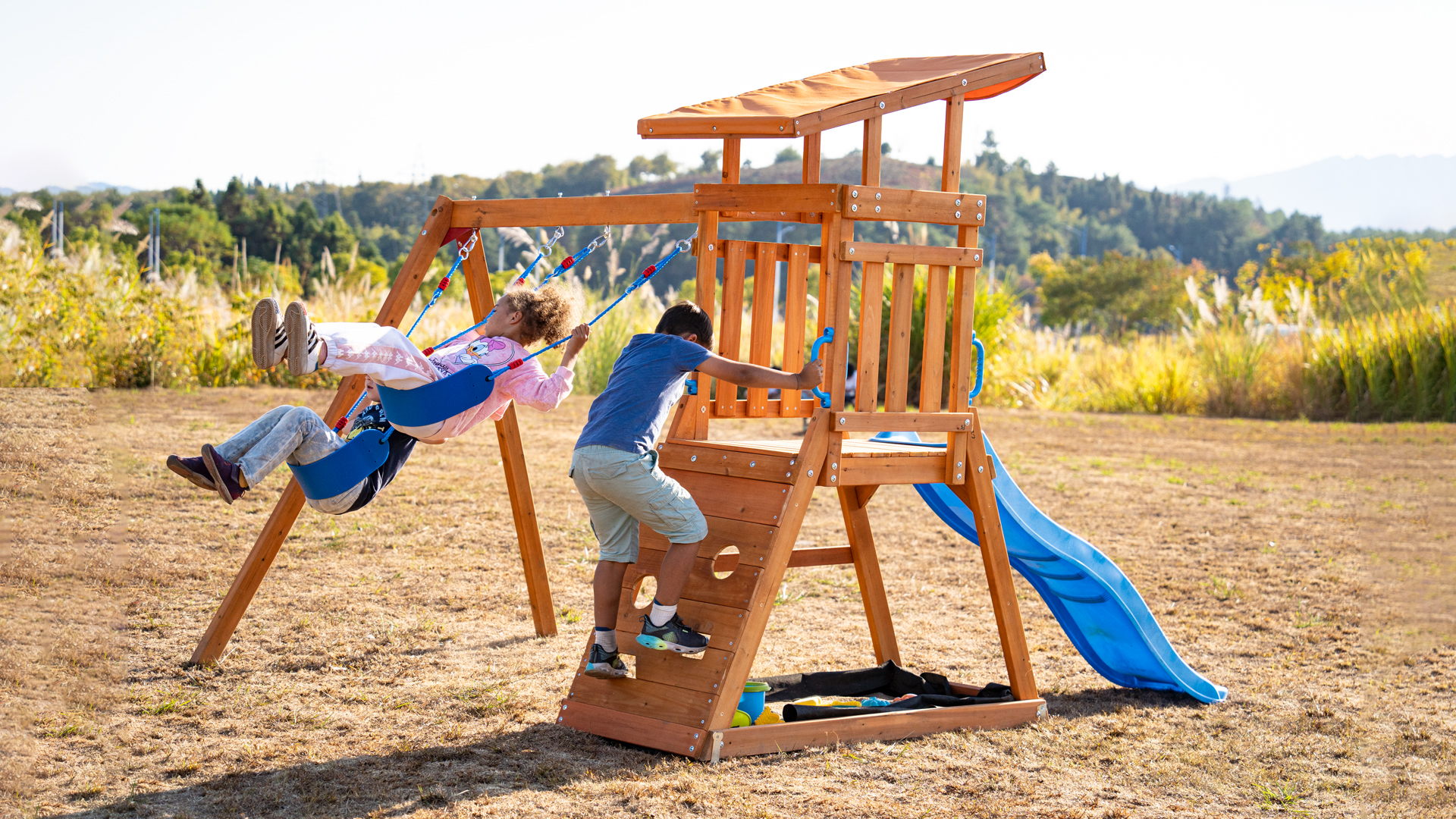 Amazon.com: Dolphin Playground Wooden Swing Sets for Backyard with