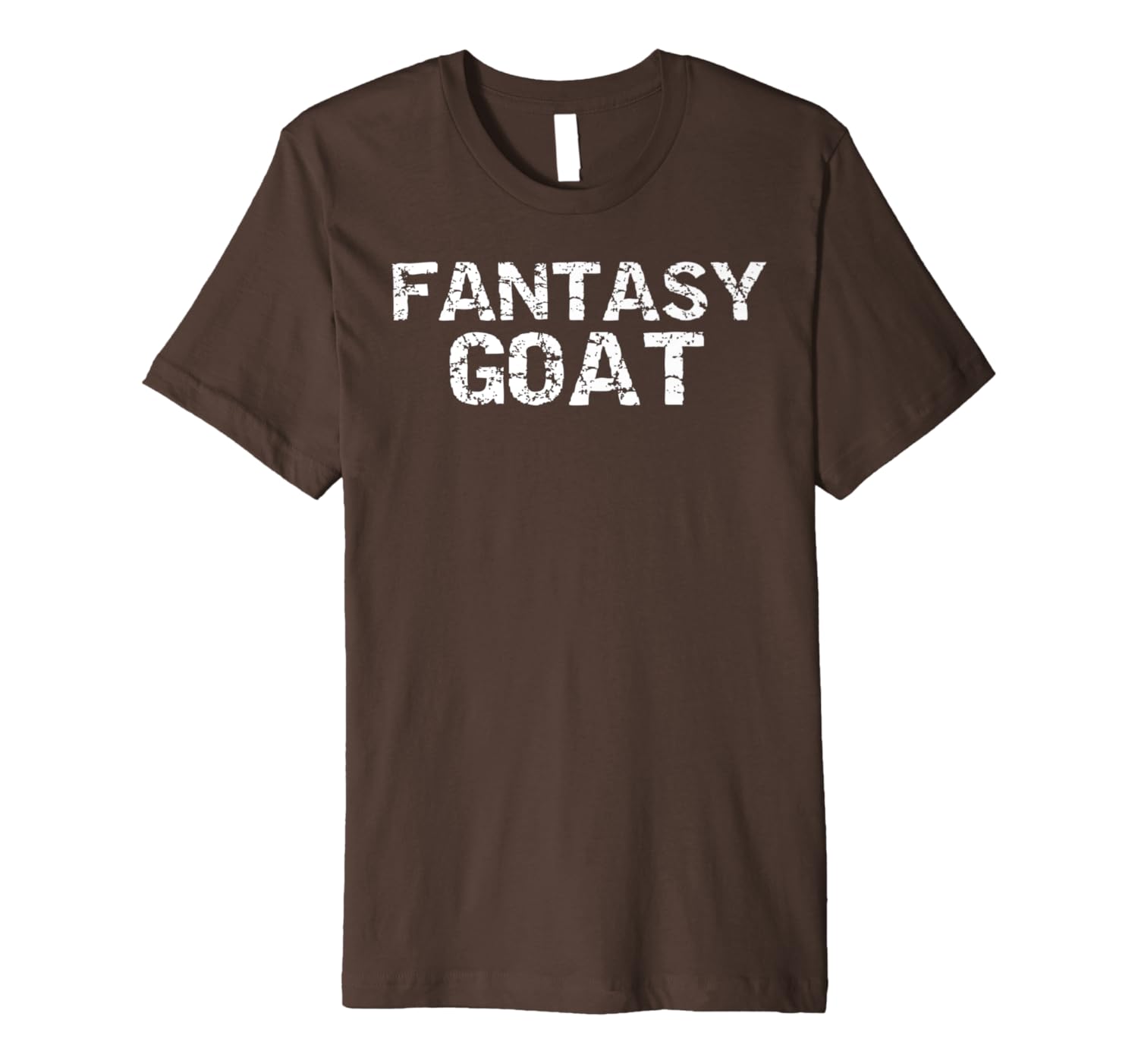 fantasy football championship shirt