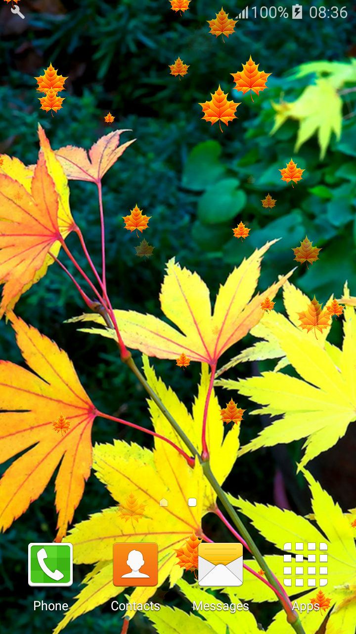 Autumn Leaves Live Wallpapers - App on Amazon Appstore