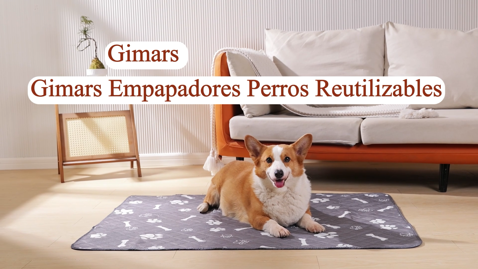 ERICAT Felpudo De Entrada,Adorable Lindo Cachorro Perro Animales Fauna Raza Calma Canino,Alfombra Absorbente Para Atrapar,Alfombrilla Antideslizante, Pasillo,Dormitorio,50x80cm