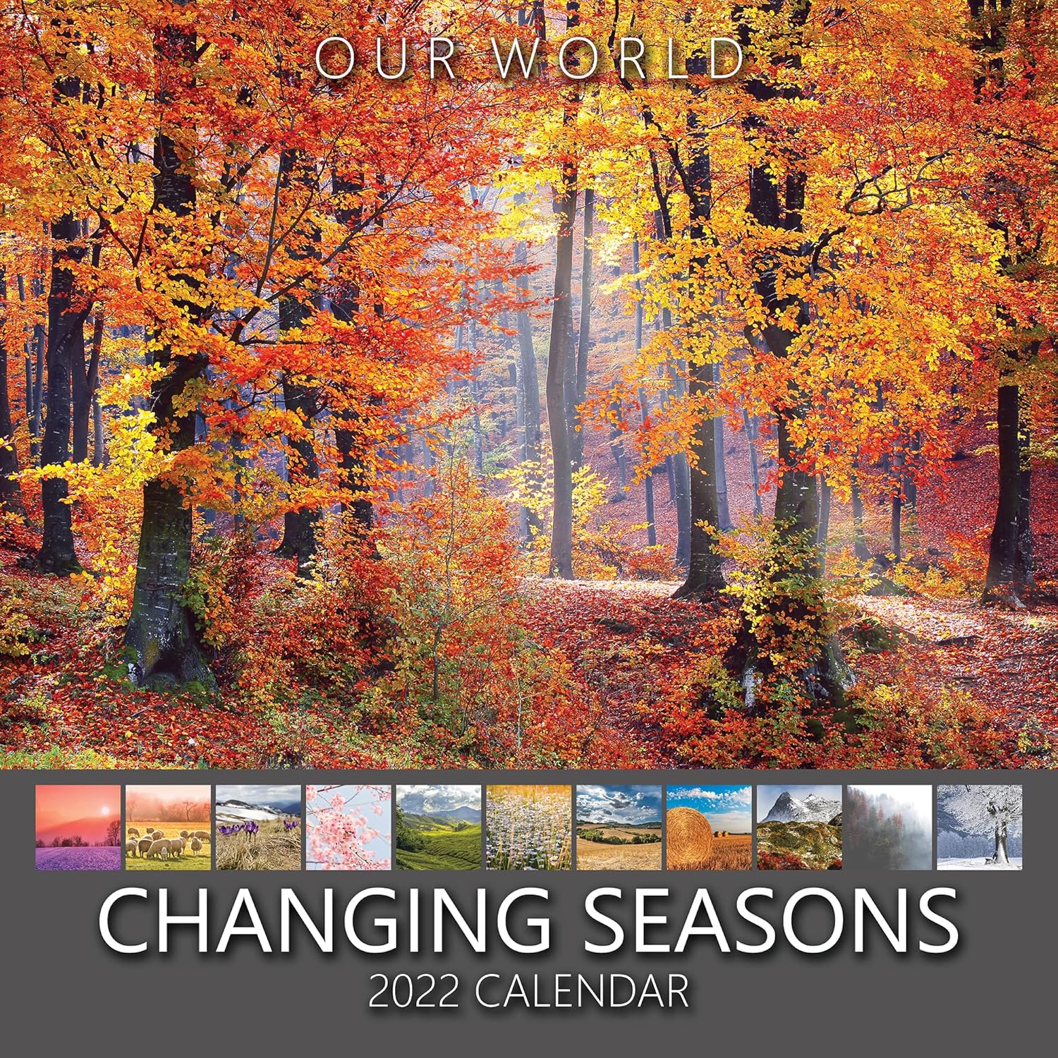 Seasons Calendar 2022 Our World Changing Seasons 2022 Wall Calendar - Uk Christmas Gift Stocking  Filler. Nature & Wildlife Photography Monthly Planner. Large Hanging Grid  Organiser For Office, Family & Kitchen : Amazon.co.uk: Stationery &