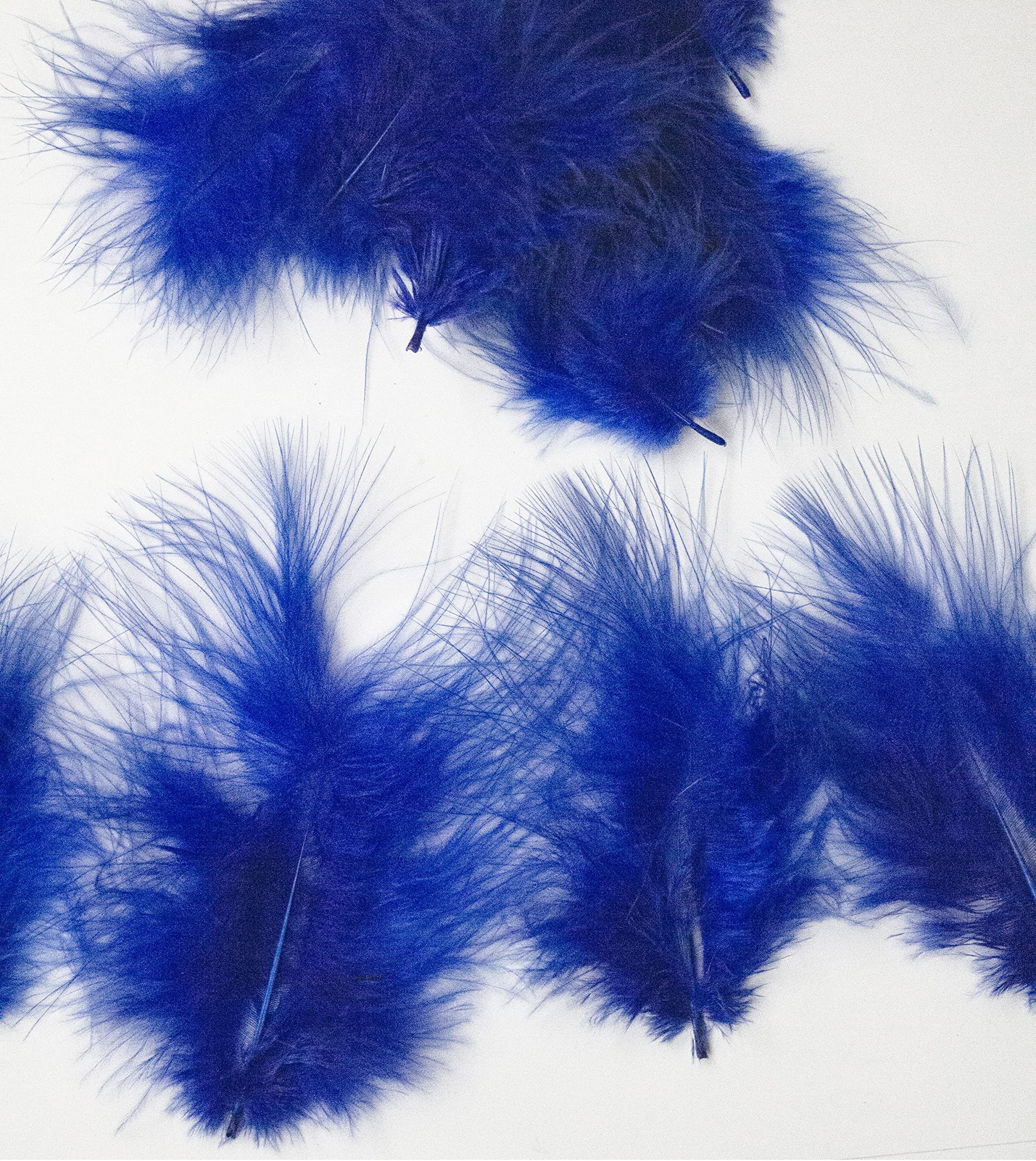Diamante Crafts Mini Marabou Feathers 50 Per Pack - 3-8 cm - Royal Blue