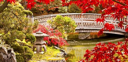 Autumn Live Wallpapers