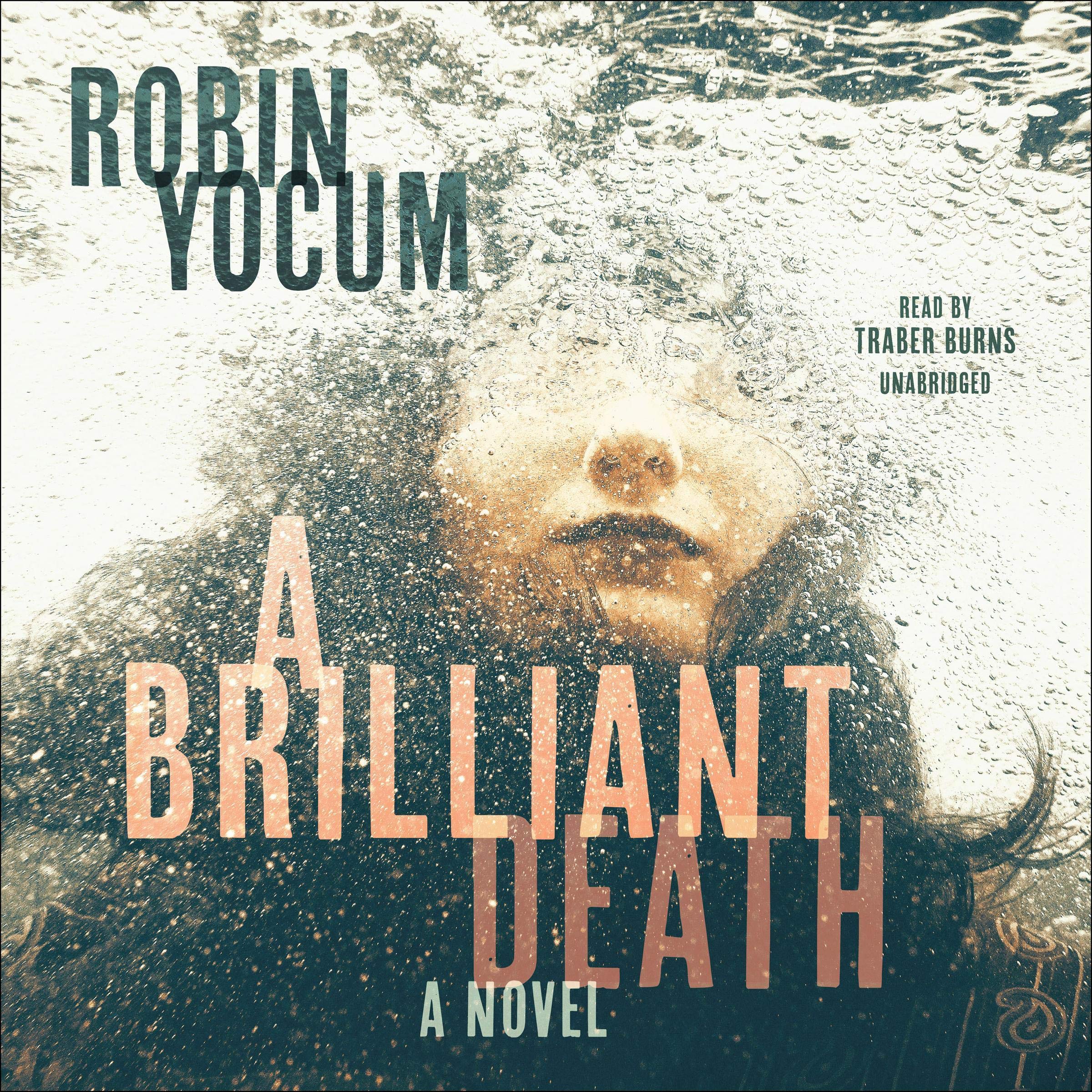 Cover art for A Brilliant Death