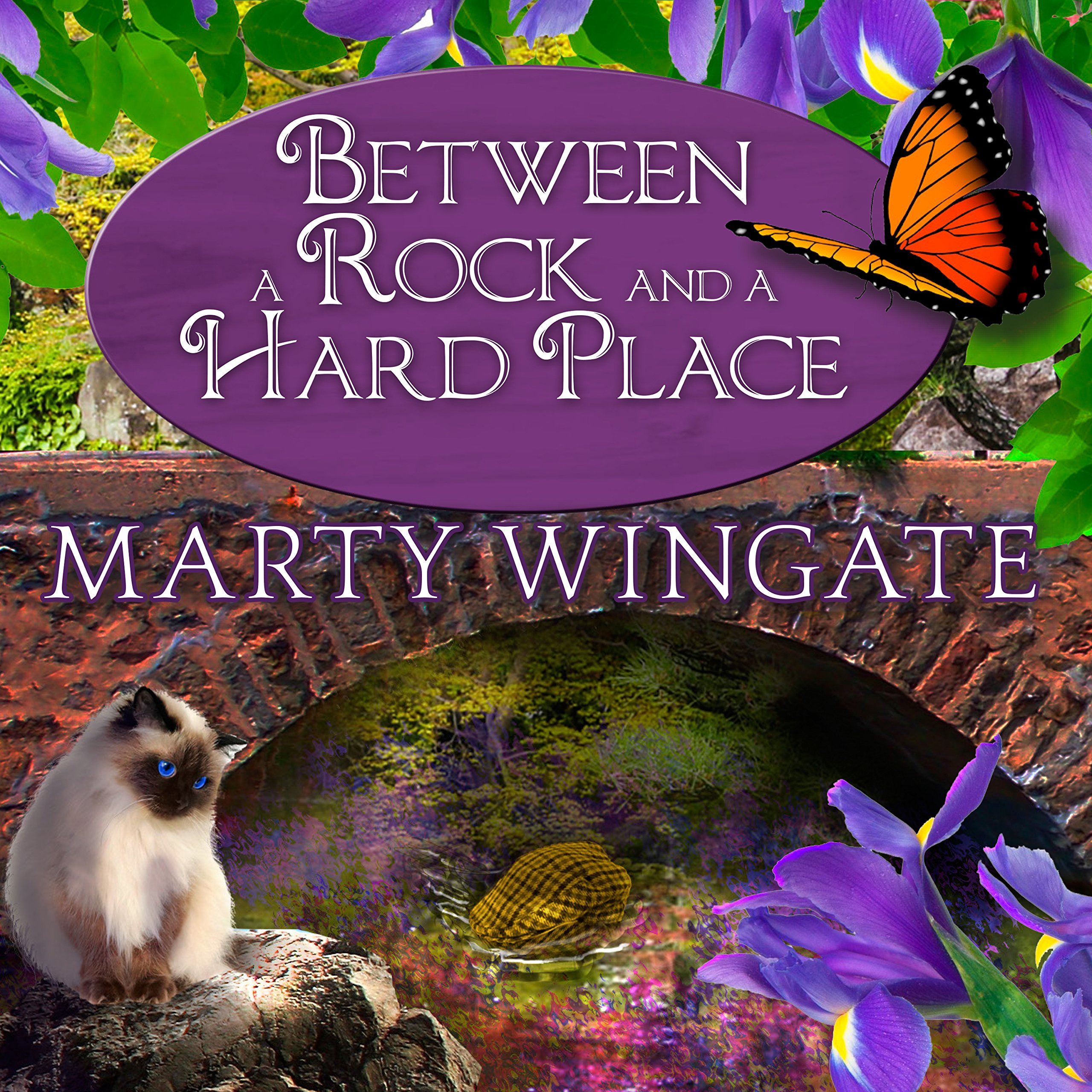 Cover art for Between a Rock and a Hard Place