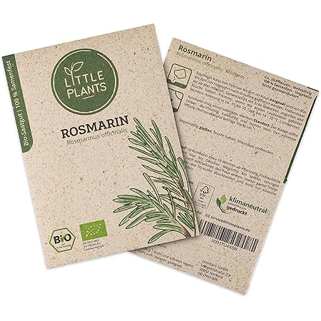 Little Plants BIO-Rosmarinsamen (Rosmarinus officinalis) Wildform | BIO-Kräutersamen | Nachhaltige Verpackung aus Graspapier | Kräuter-Samen | BIO-Saatgut für ca. 20 Rosmarin-Pflanzen