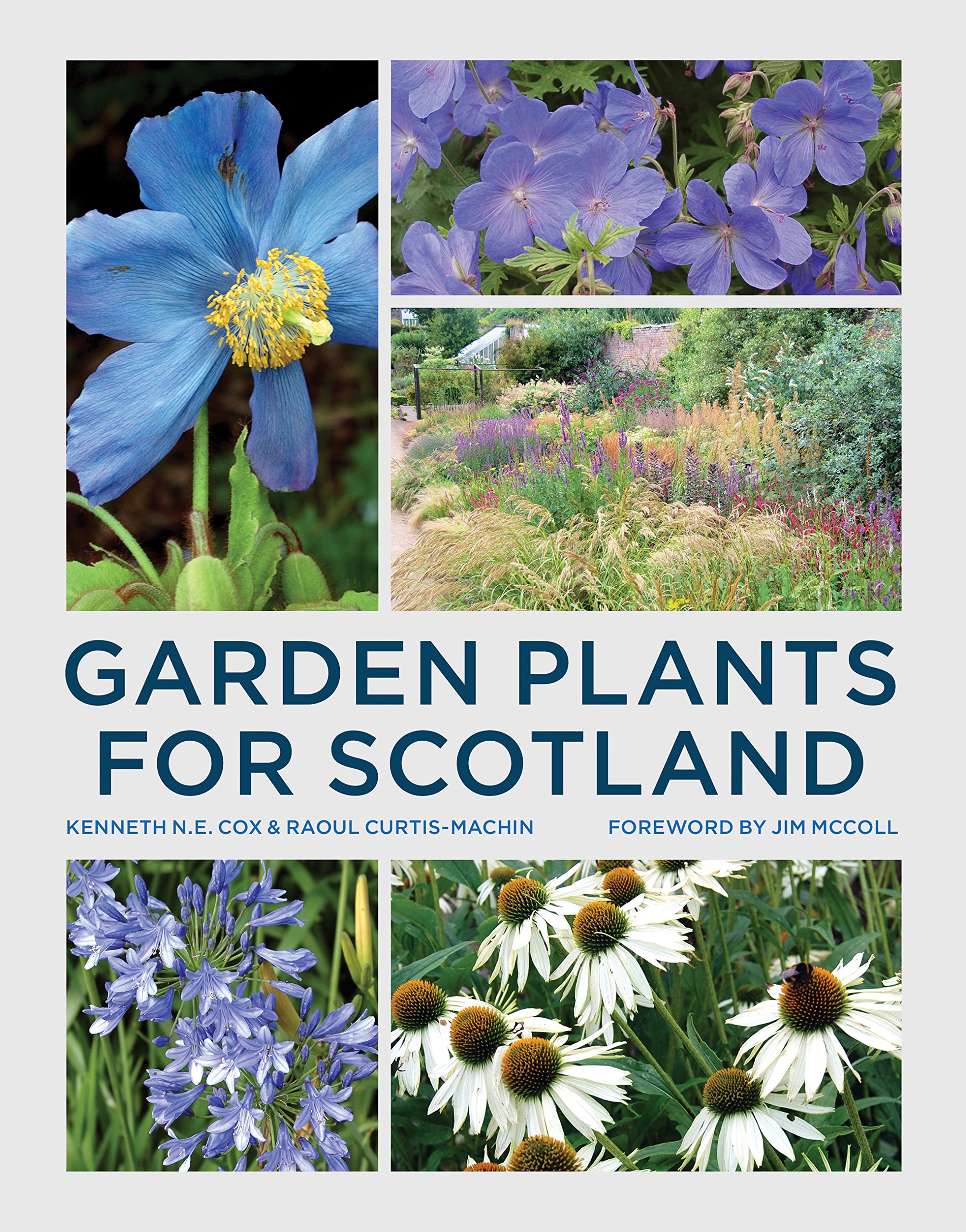 Garden Plants for Scotland by Kenneth Cox PAPERBACK 9780711236684