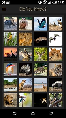 Did you know... African Wildlife