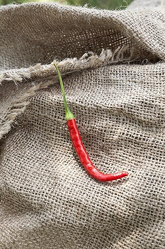 Miniatura 2 de Chile de arbol Árbol ChiliAves Pico Pepper Premium semillas + más